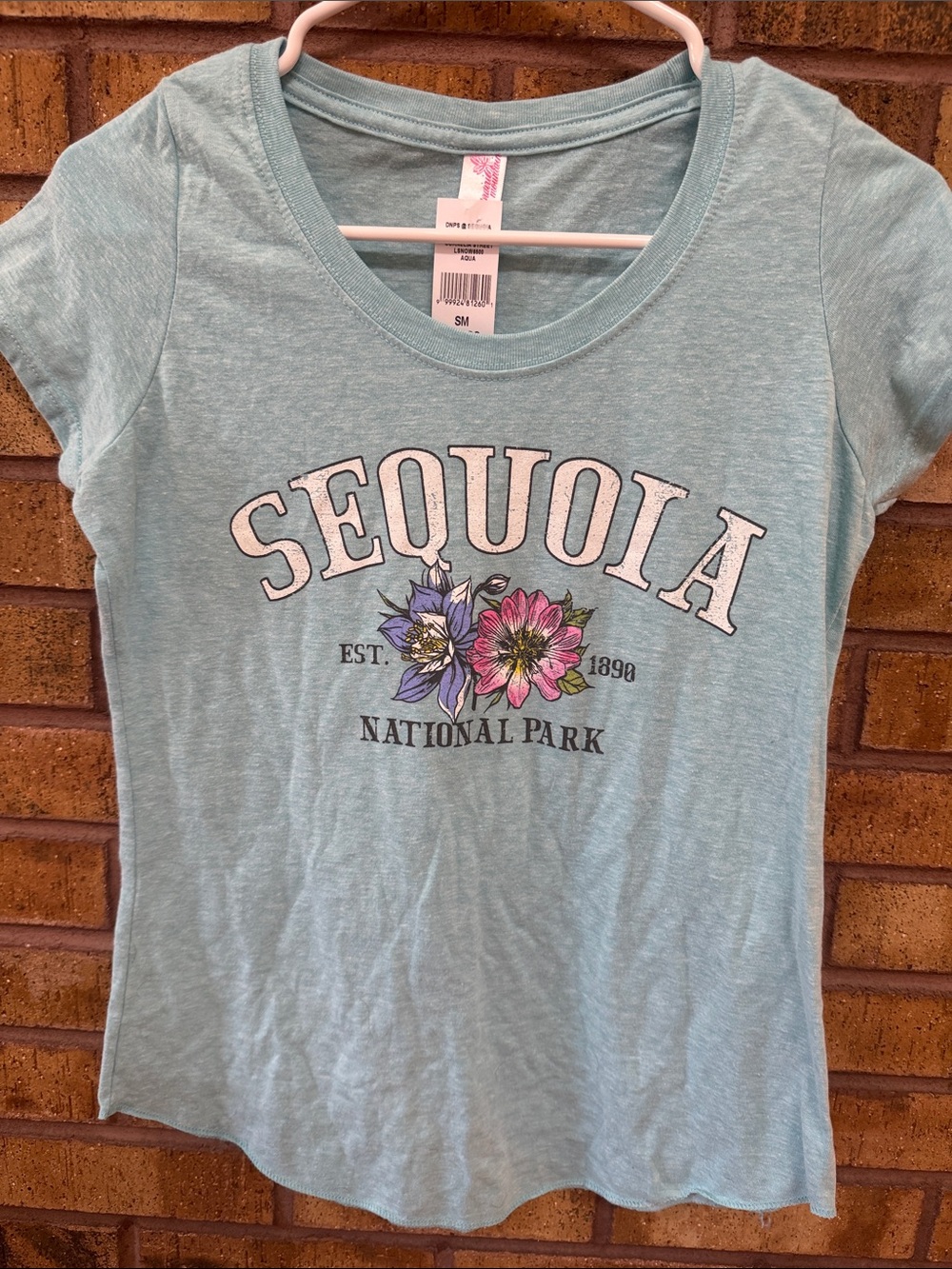 Sequoia National Park Women's Light Blue Graphic Tee by Simple & Chic
